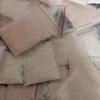 پودر شپش