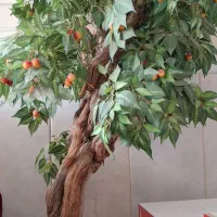 درختچه تزئینی گیلاس|گل مصنوعی|زاهدان, |دیوار