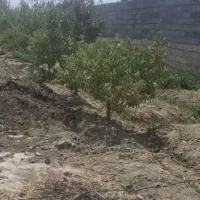 فروش-باغچه-600-متری-در-فرارت