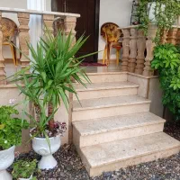 دو عد گلدان گل تازه  همراه با گلدان