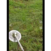 کلیه کارهای علف زنی وتمشک تراشی وباغبانی وفنس کشی