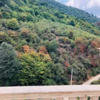 مشارکت زیارت جای خوب