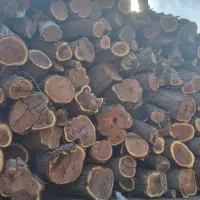 چوب،اره، ویلا باغ|خدمات باغبانی و درختکاری|دزفول, |دیوار