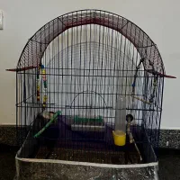 قفس به همراه وسایل