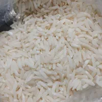 برنج طارم اصل مازندران