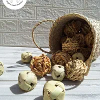 پت شاپ خرگوشی|لوازم جانبی حیوانات|تهران, بازار|دیوار