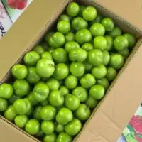 زنجبیل+آناناس، گوجه سبز