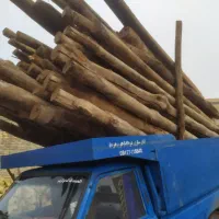 چوب سقفی وهمه نوع چوب خریدارم پرداخت سرباسکول