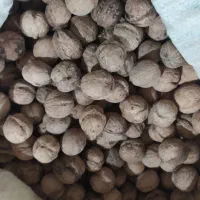 گردو خشک|خوردنی و آشامیدنی|شیراز, سعدیه جنوبی|دیوار