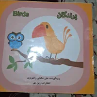 کتاب نقاشی|اسباب‌‌بازی|تهران, ازگل|دیوار
