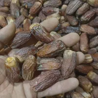 مجول|خوردنی و آشامیدنی|شیراز, منطقه هوایی شهید دوران|دیوار