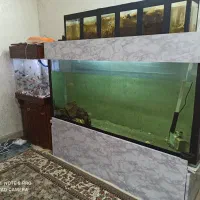 اکواریوم بزرگ بامیز و شیشه 10میل