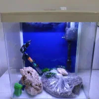 اکواریوم شرکتی دلسا k390