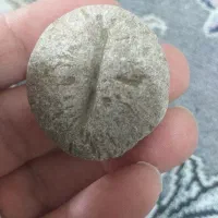 تابلو نقاشی،فسیل،قفل کهنه و..|صنایع دستی و سایر لوازم تزئینی|تهران, قنات‌کوثر|دیوار