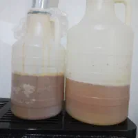 عسل