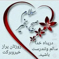 نظافت منزل خانم