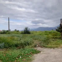 زمین سنددارتجاری مسکونی|فروش زمین و ملک کلنگی|کلاچای, |دیوار