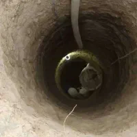 مغنی چاه کن آب و فاضلاب