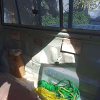 وانت کلاسیک|خودرو کلاسیک|زاهدان, |دیوار