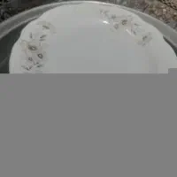 بشقاب