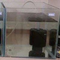 اکواریوم و فیلتر بیولوژیک و ماهی کالر موجوده