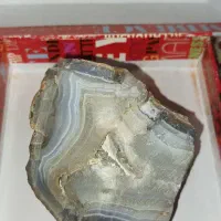 سنگ شجر|جواهرات|تهران, فلاح|دیوار