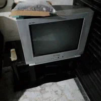 تلویزیون