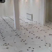 کاشیکاری سرامیک اجرا و نصب اسلپ وتعمیرات پذیرفته|خدمات پیشه و مهارت|کرمانشاه, |دیوار