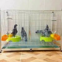 لوازم پرنده و حیوانات