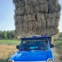 باربری|خدمات حمل و نقل|ماکلوان, |دیوار