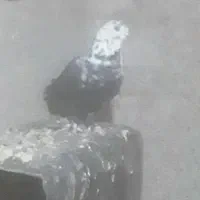 کبوتر