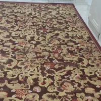 در حد نو|گلیم، جاجیم، گبه|گلپایگان, |دیوار