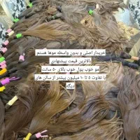 مرکز اصلی فروش موهای طبیعی رنگی و خام