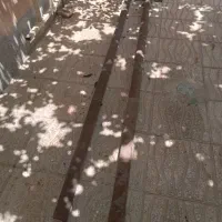 ۲عددلوله اهنی ۲اینچ