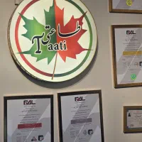 ادمین حرفه‌ای و مدل بلاگر خانم