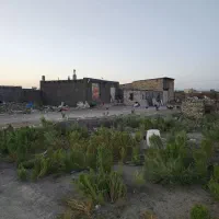 ۴۰۰۰هزار متر زمین شهر آباد اجاره و فروش