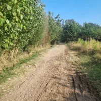 باغ-دو-ساله