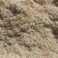 کاه لوبیا کیلویی