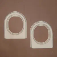 گلدان|گل و گیاه طبیعی|اصفهان, هزارجریب|دیوار