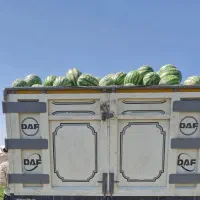 حمل نقل باربری ،ایسوزو،تک ،جفت،تریلی|خدمات حمل و نقل|همدان, |دیوار