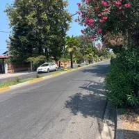 پیش فروش آپارتمان/منطقه برند رامسر