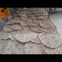 نیروی خانم