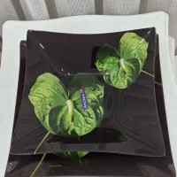 دیس پذیرایی