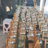 جای قلمه گل