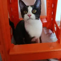 برای نگه داشتم واگذار میکنم