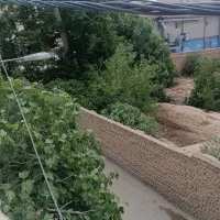رهن-و-اجاره-منزل-مسکونی-ویلایی-دربست