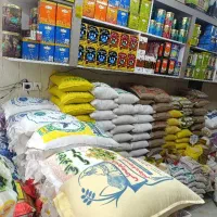 چای برنج خلف خانی