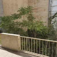 اجاره آپارتمان ۲۰۵ متری ۳ خوابه در میدان انقلاب|اجارهٔ آپارتمان|تهران, فلسطین (میدان انقلاب)|دیوار
