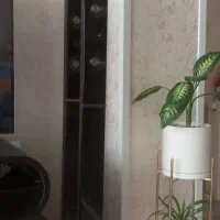 باند تلویزیون|سیستم صوتی خانگی|فردیس, نسترن شرقی|دیوار