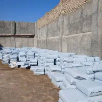 حراج ذرت علوفه دزفول